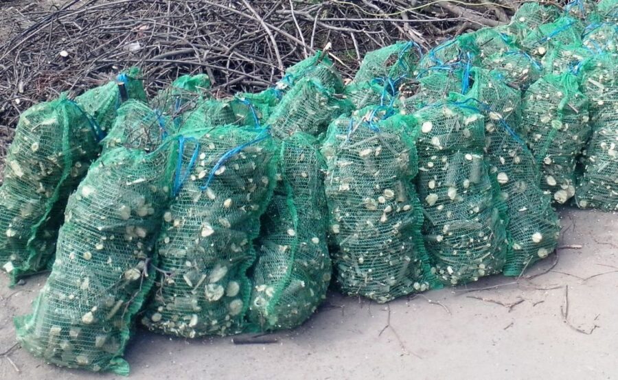 Häcksler AM-80 BD ARPAL | Äste bis 80 mm